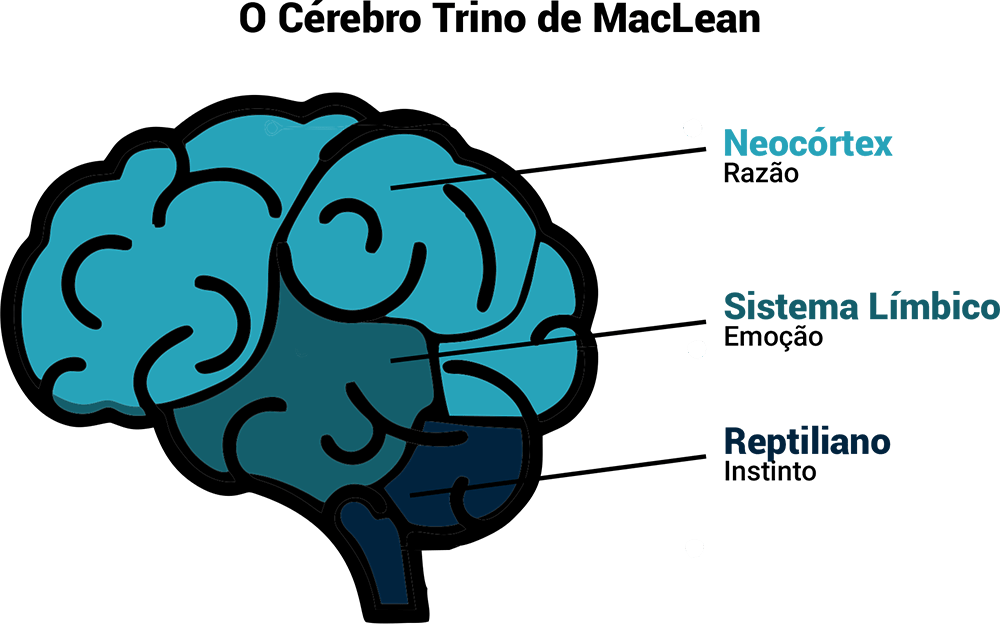 O Cerebro Trino de MacLean Blog da KoDru | Neuromarketing por que as pessoas compram